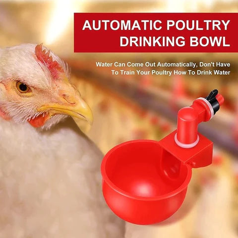 🔥 DISPENSADOR DE AGUA AUTOMÁTICO PARA POLLOS 🐔