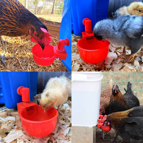 🔥 DISPENSADOR DE AGUA AUTOMÁTICO PARA POLLOS 🐔